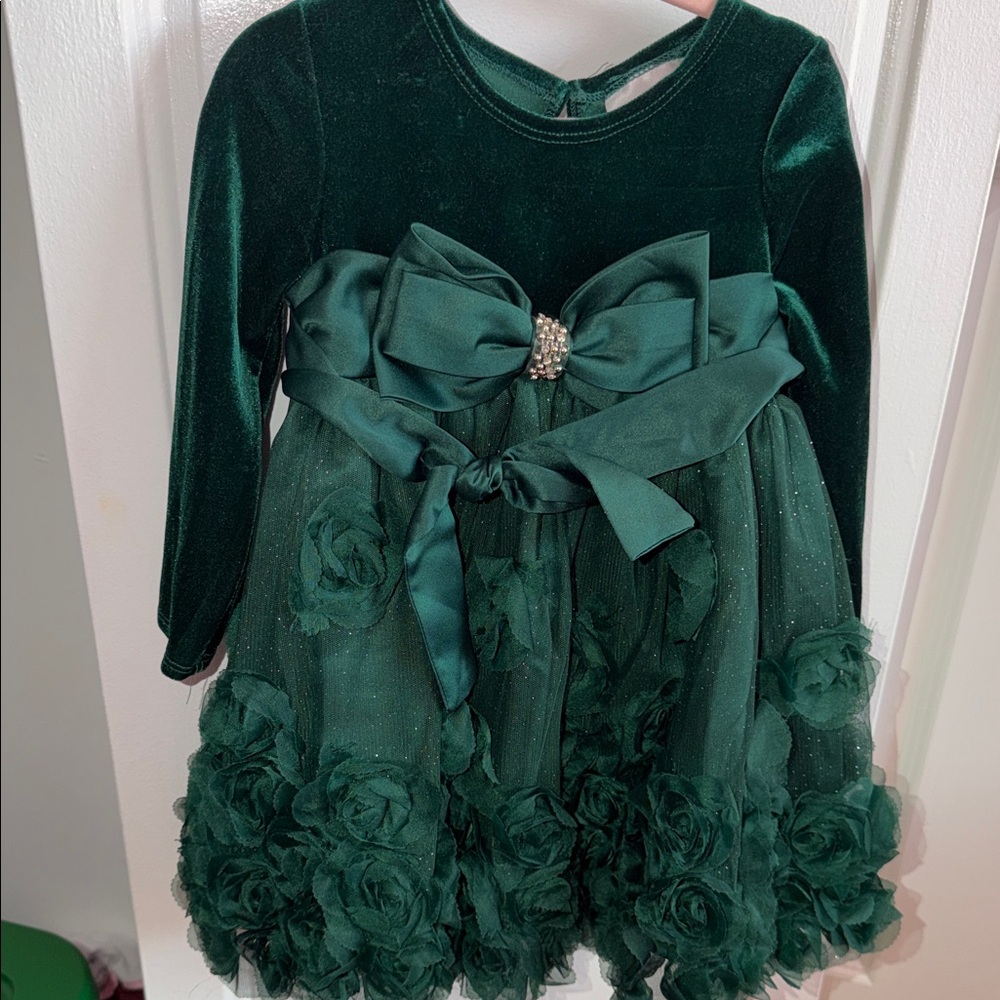 Rare Editions Emerald Green Velvet & Rose Trim Holiday Dress